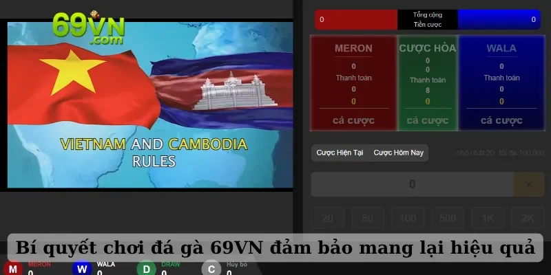 Bí quyết chơi đá gà 69VN đảm bảo mang lại hiệu quả